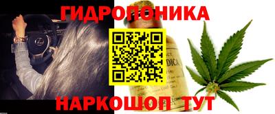 гидра Волжский