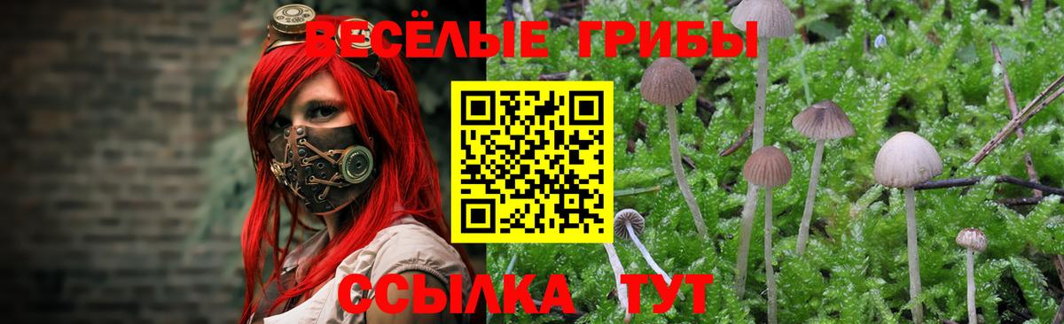 Галлюциногенные грибы GOLDEN TEACHER Борисоглебск